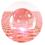 PDRN